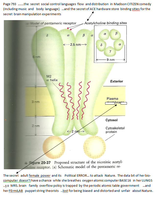 p-1134a-12.PNG