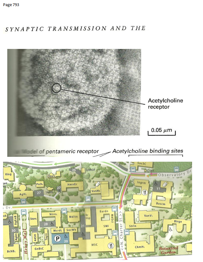 p-1134a-16.PNG