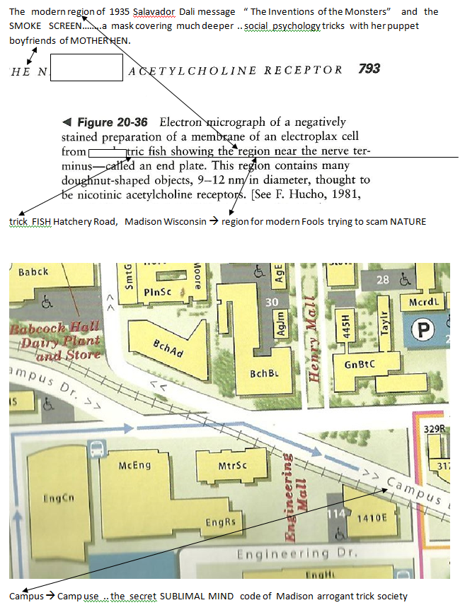 p-1134a-17.PNG