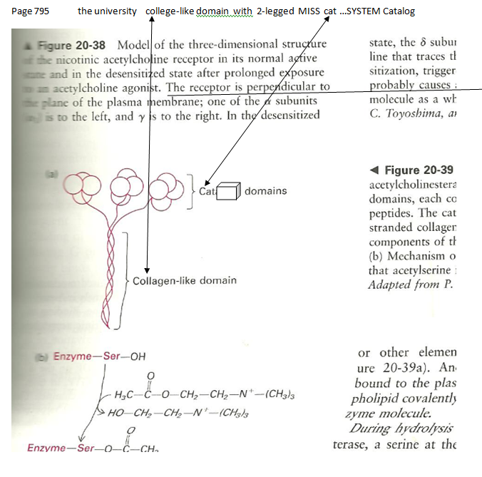 p-1134a-20.PNG