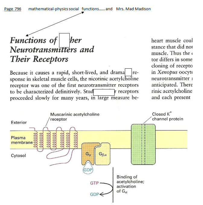 p-1134a-21.PNG