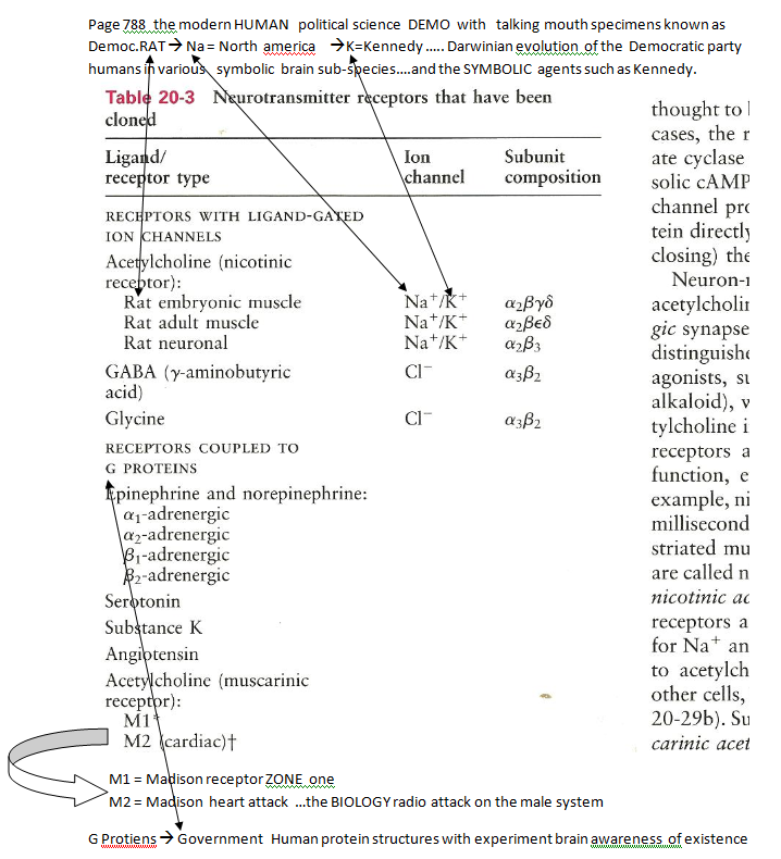 p-1134a-4.PNG