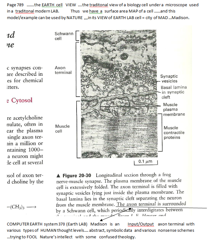 p-1134a-7.PNG