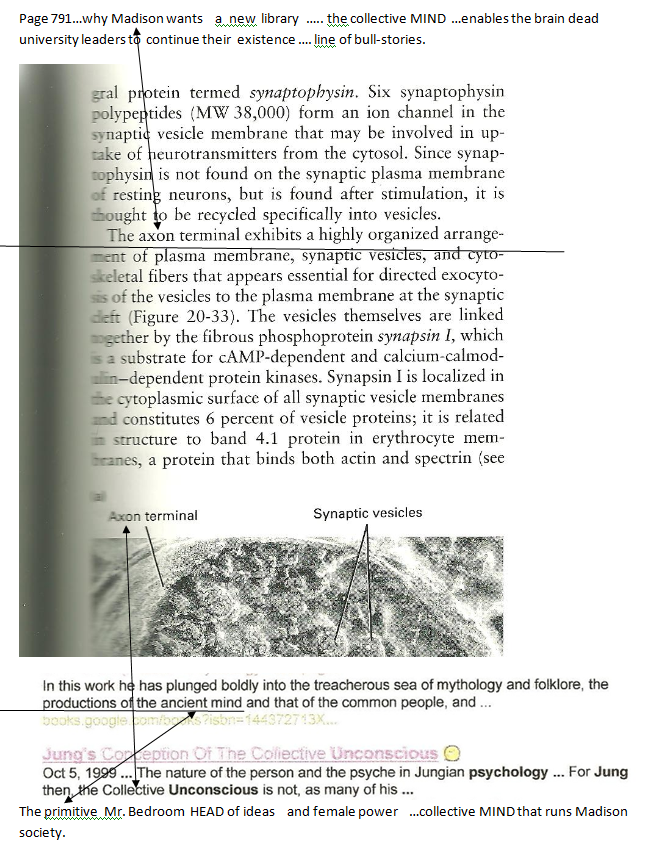 p-1134a-9.PNG